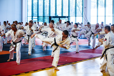 54832289577 dfd2571412 w