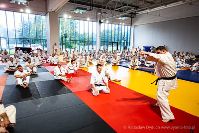 54833376359 7316397aeb w