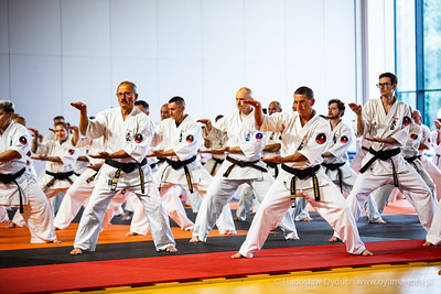 54833393303 bb32a87b3b w