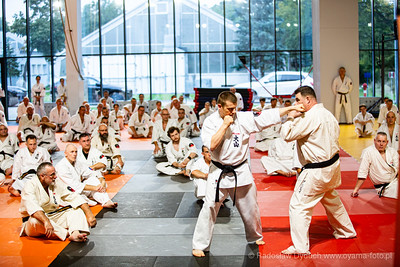 54833467750 17368c9776 w